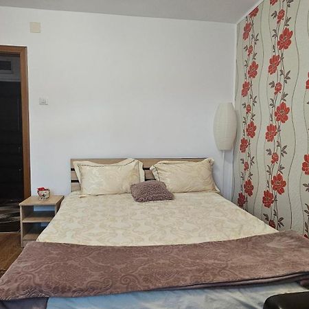 Casa Suzana Apartment Piatra Neamt Luaran gambar