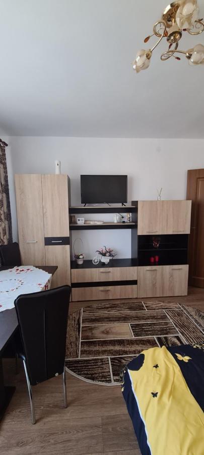 Casa Suzana Apartment Piatra Neamt Luaran gambar