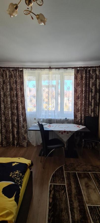 Casa Suzana Apartment Piatra Neamt Luaran gambar