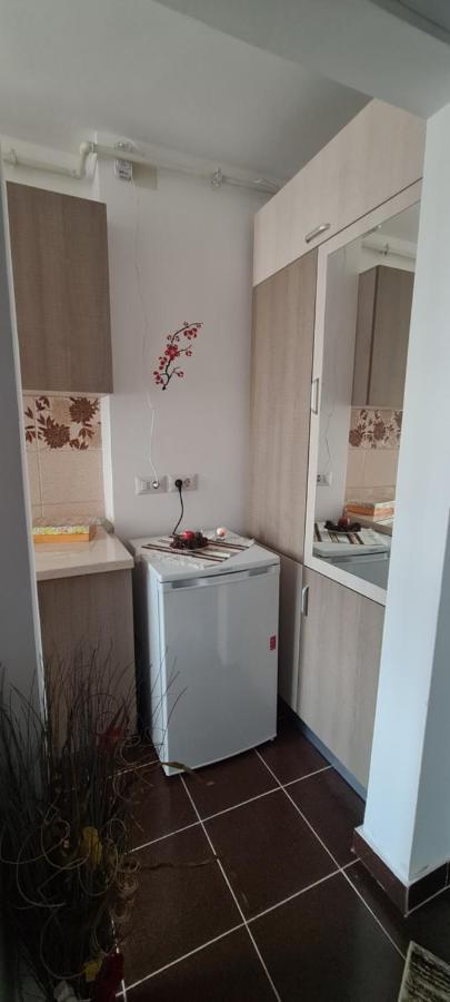 Casa Suzana Apartment Piatra Neamt Luaran gambar
