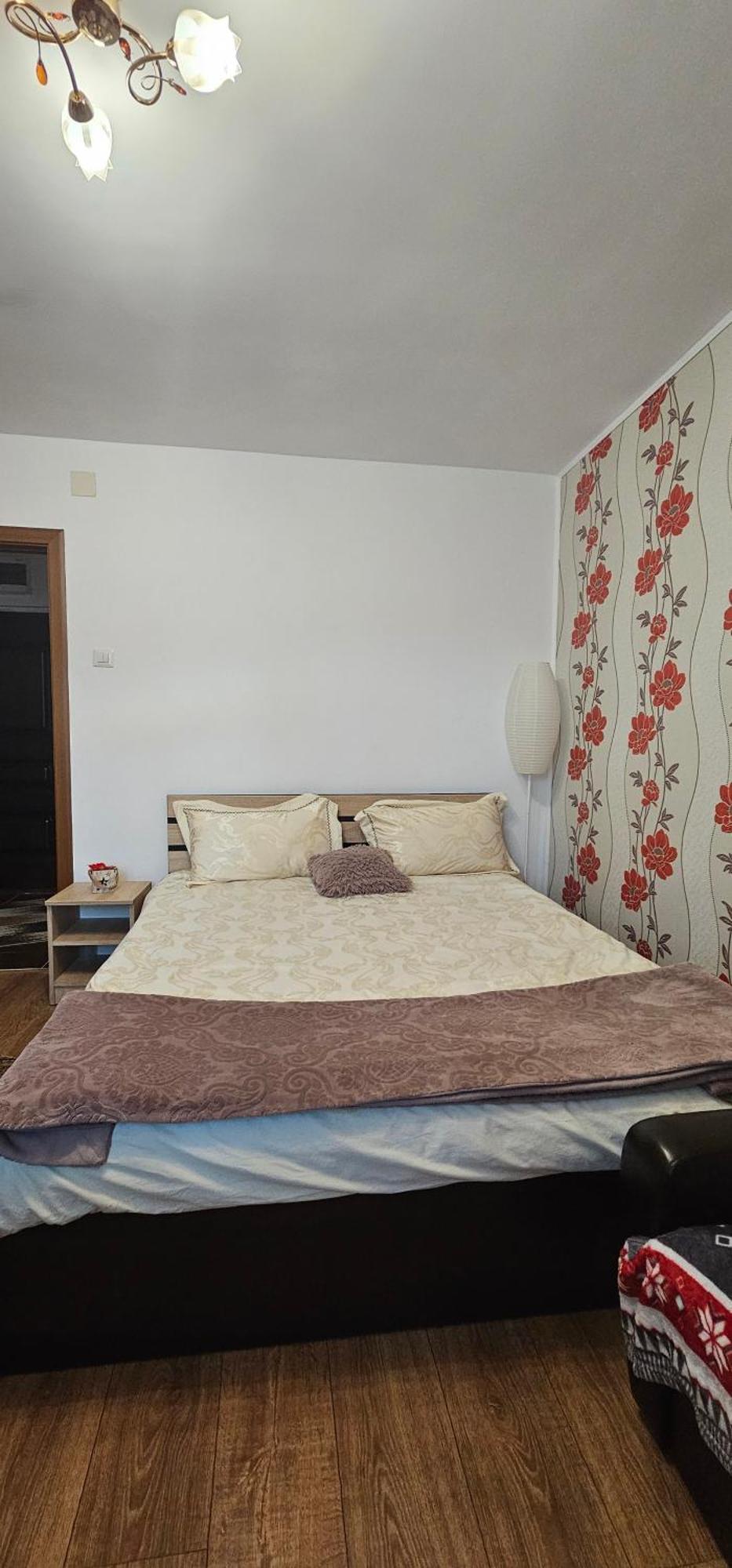 Casa Suzana Apartment Piatra Neamt Luaran gambar